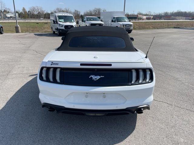 used 2021 Ford Mustang car, priced at $17,500