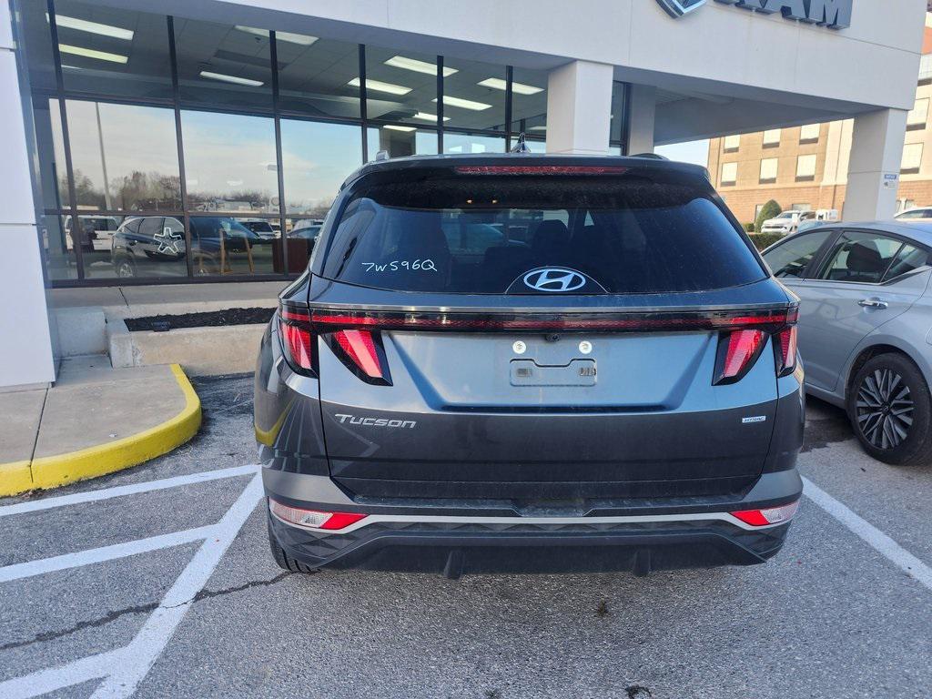 used 2024 Hyundai Tucson car, priced at $20,245