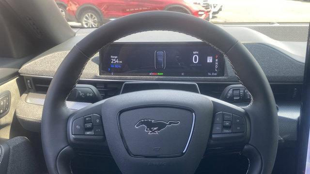 new 2024 Ford Mustang Mach-E car, priced at $49,890
