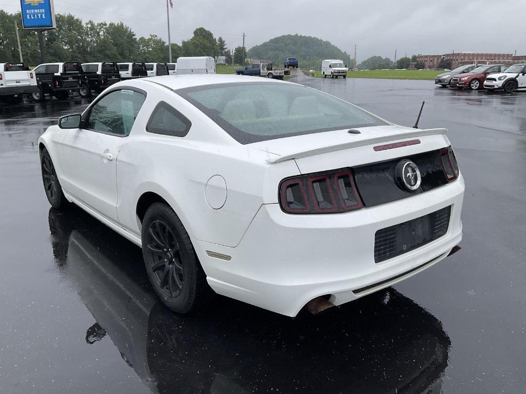 used 2013 Ford Mustang car, priced at $10,000