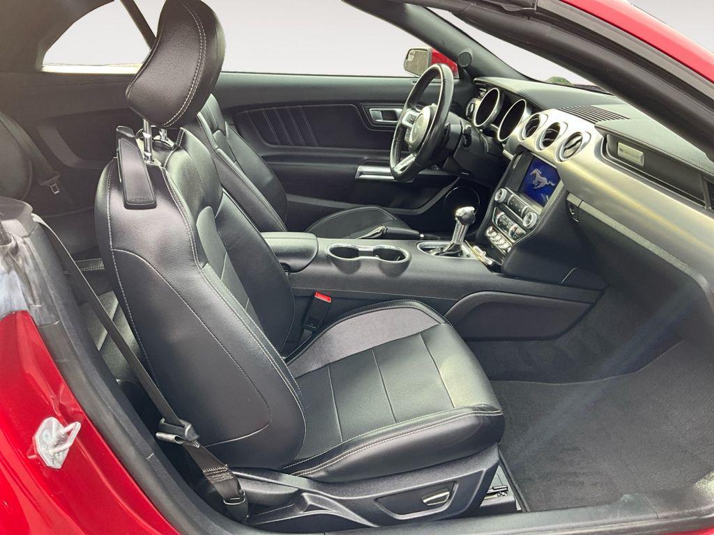 used 2019 Ford Mustang car, priced at $34,000
