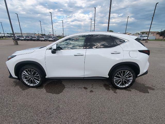used 2026 Lexus NX 350 car, priced at $54,200