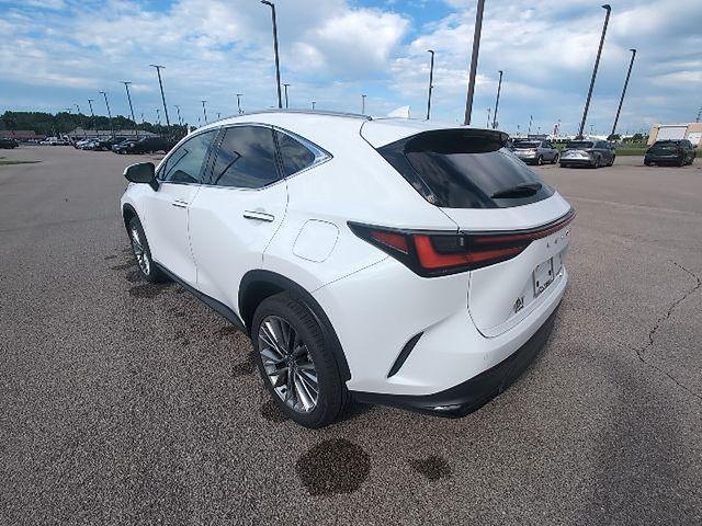 used 2026 Lexus NX 350 car, priced at $51,700