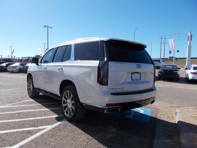 used 2021 Cadillac Escalade car