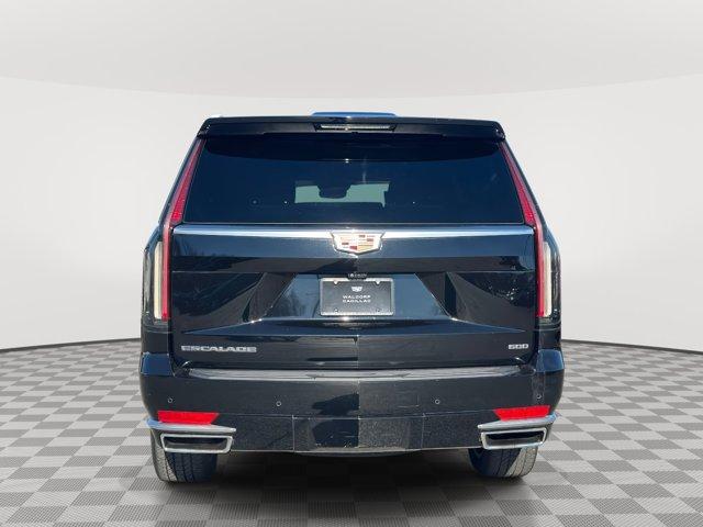 used 2022 Cadillac Escalade car, priced at $63,480