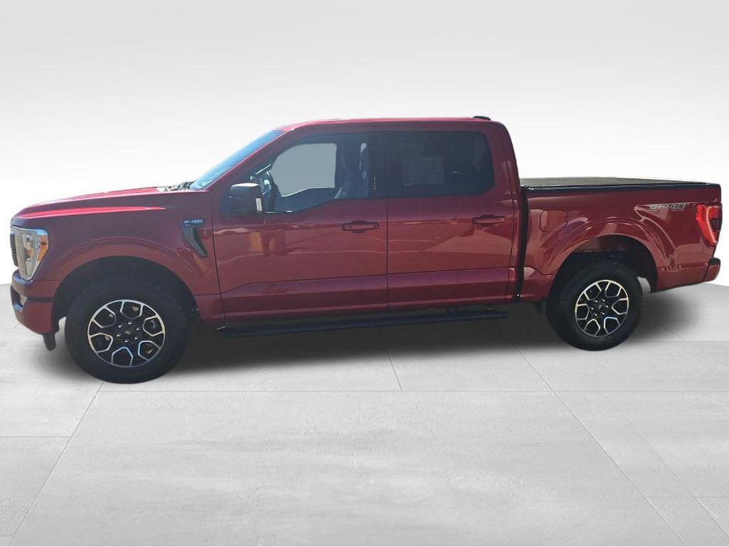 used 2022 Ford F-150 car, priced at $27,866