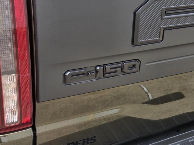 used 2025 Ford F-150 car, priced at $125,995