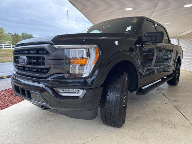used 2023 Ford F-150 car, priced at $40,295