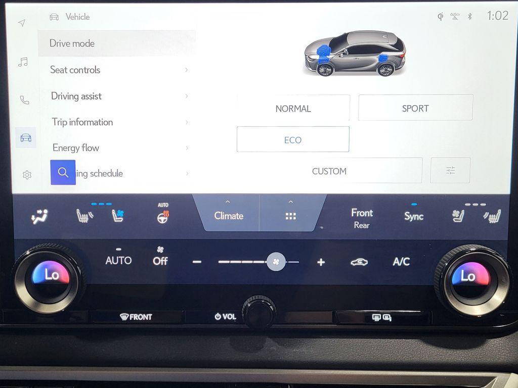 Lexus RX view 24