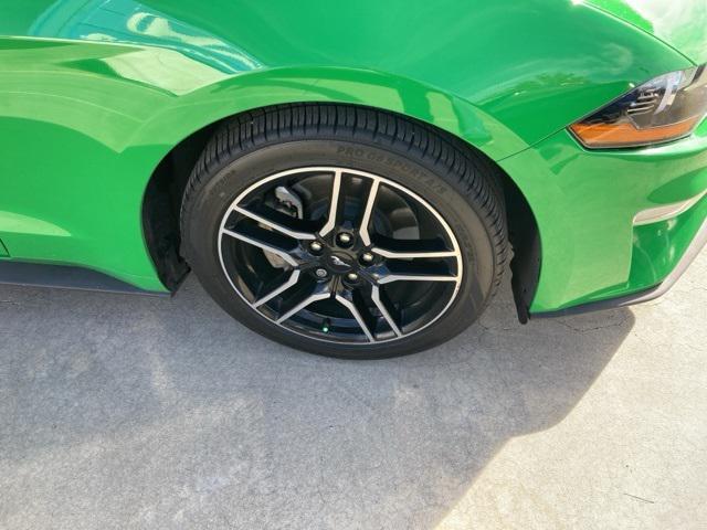 used 2019 Ford Mustang car, priced at $15,000