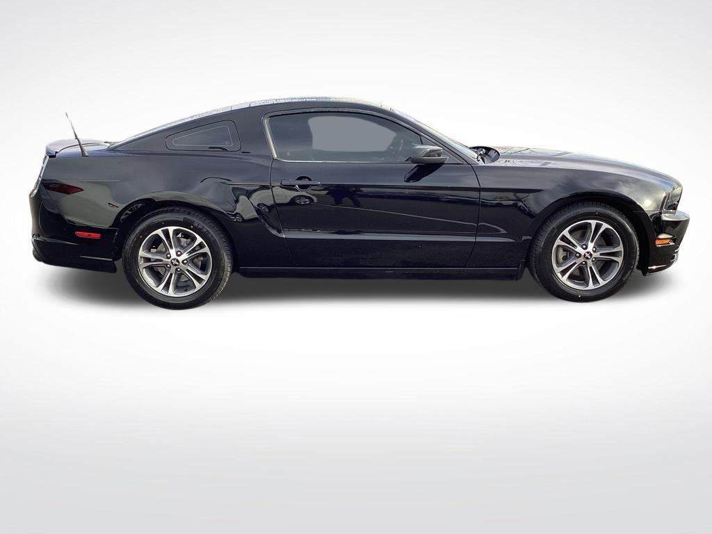 used 2014 Ford Mustang car, priced at $15,890