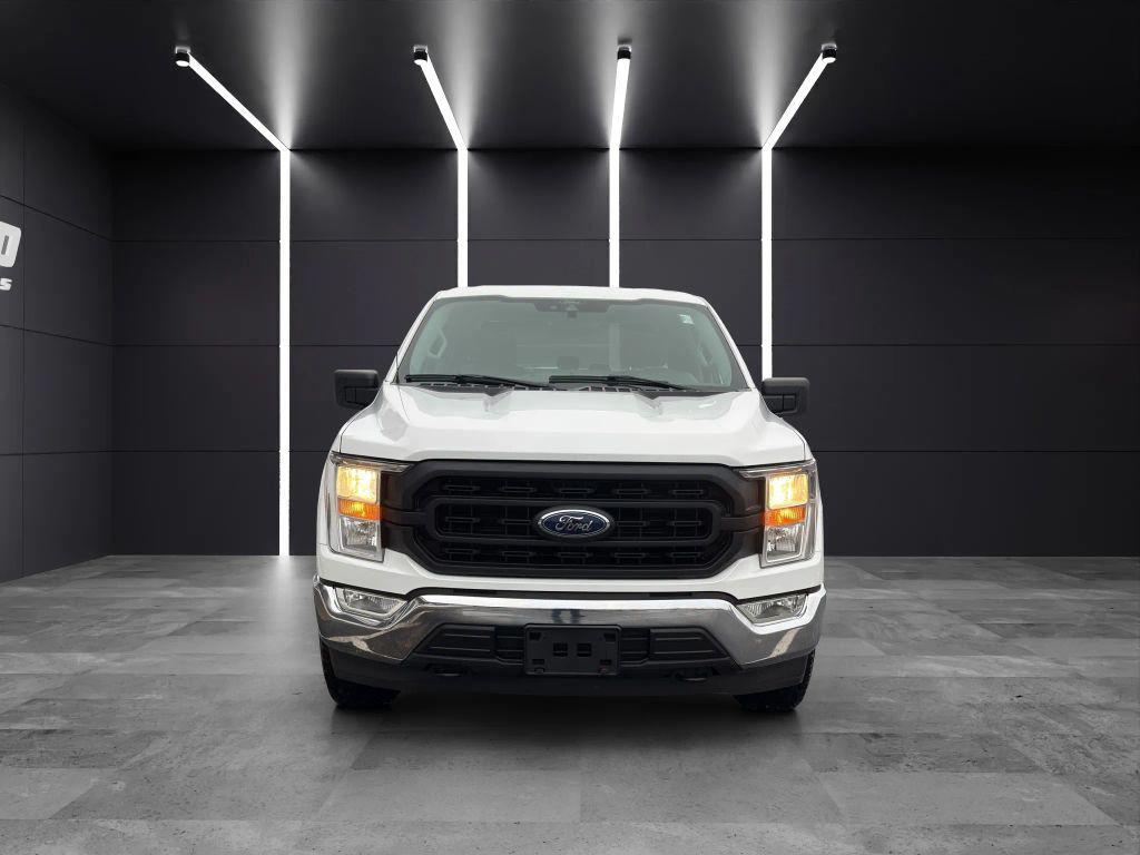 used 2021 Ford F-150 car, priced at $22,499