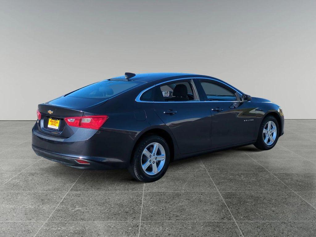 used 2023 Chevrolet Malibu car