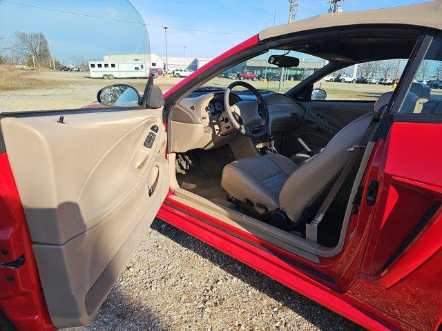 used 1999 Ford Mustang car
