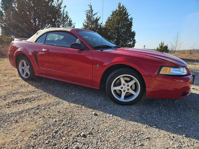 used 1999 Ford Mustang car