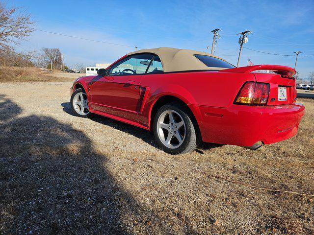 used 1999 Ford Mustang car