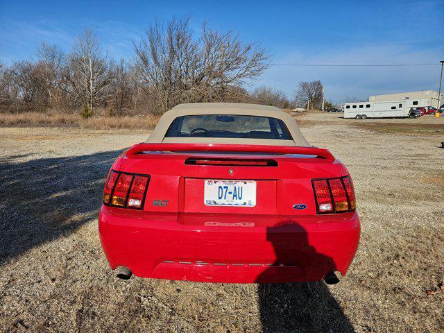 used 1999 Ford Mustang car