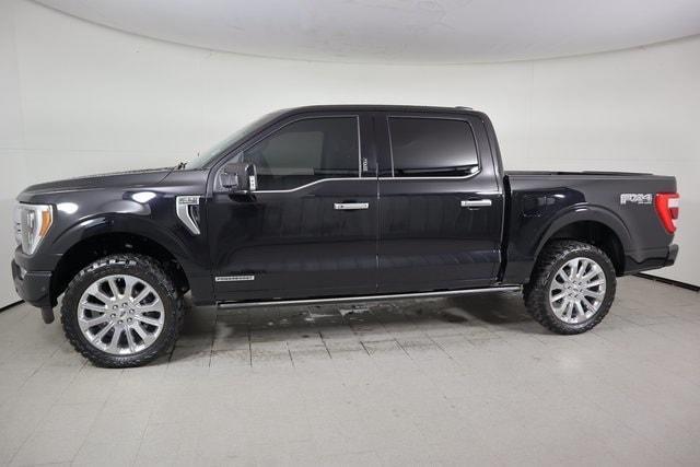 used 2023 Ford F-150 car