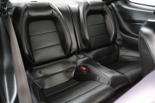 used 2023 Ford Mustang car