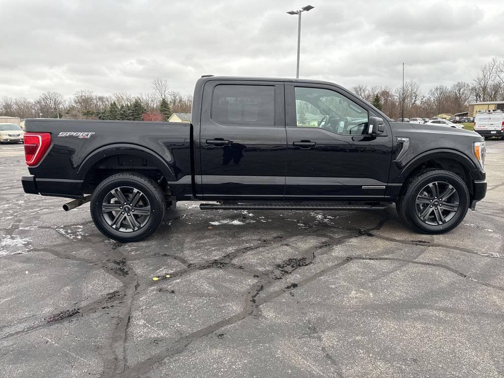 used 2023 Ford F-150 car, priced at $38,000
