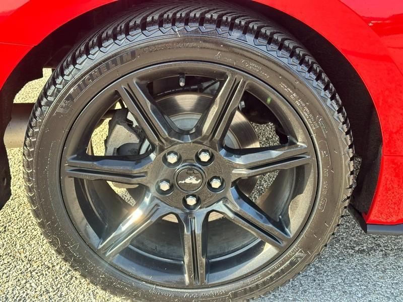 used 2018 Ford Mustang car