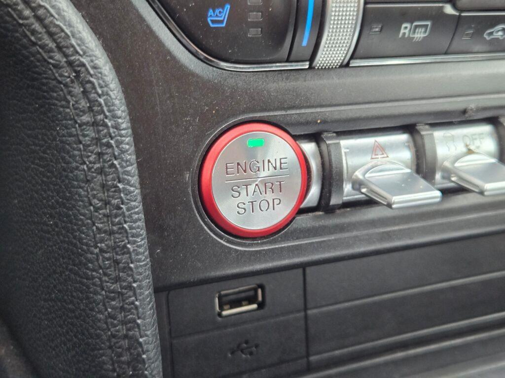 used 2022 Ford Mustang car, priced at $19,725