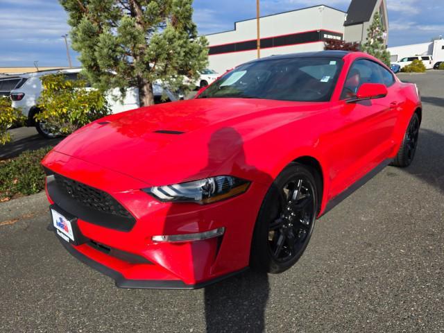 used 2019 Ford Mustang car, priced at $24,980
