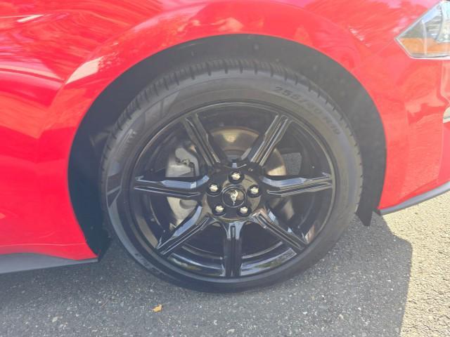 used 2019 Ford Mustang car, priced at $24,980