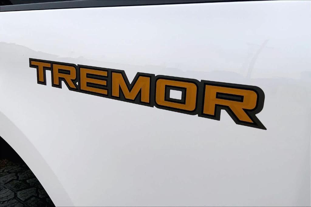 used 2024 Ford F-250 car, priced at $73,604
