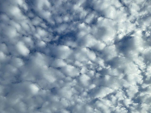 used 2021 Nissan Rogue car, priced at $16,299