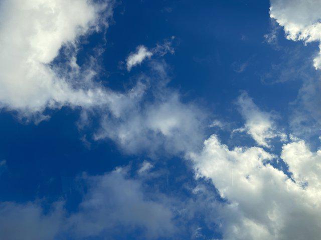 used 2022 Ford F-150 car, priced at $48,215