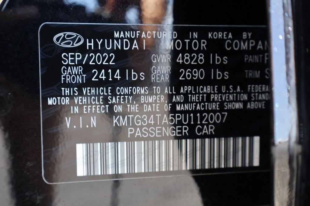 2023 Vik Black Genesis G70