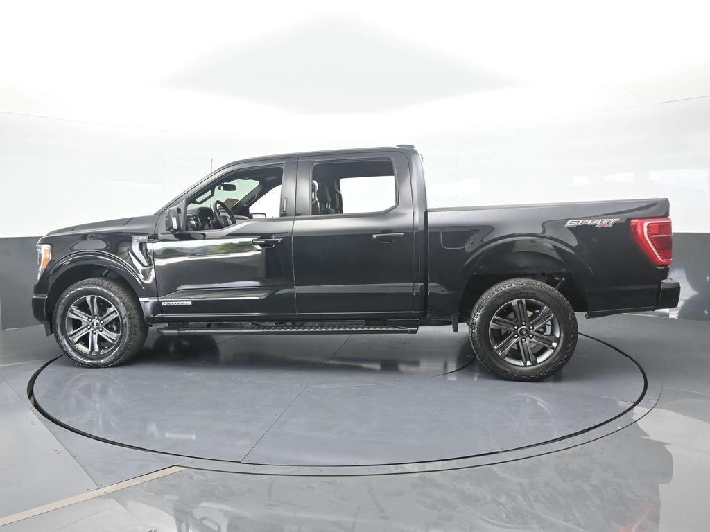 used 2023 Ford F-150 car, priced at $34,990