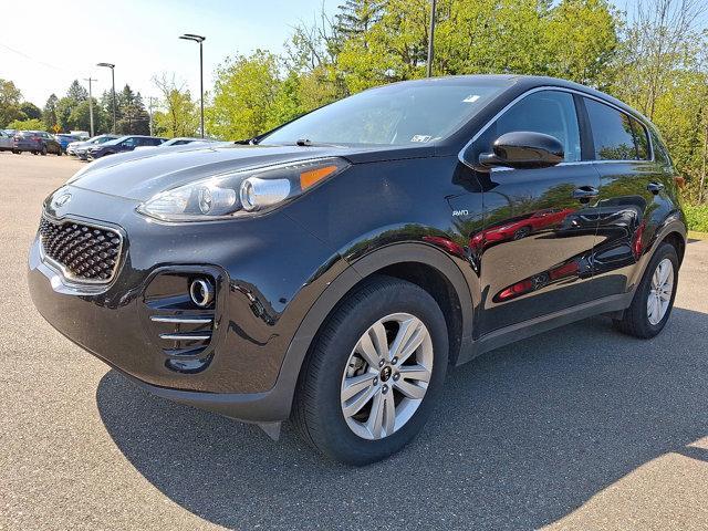 used 2019 Kia Sportage car