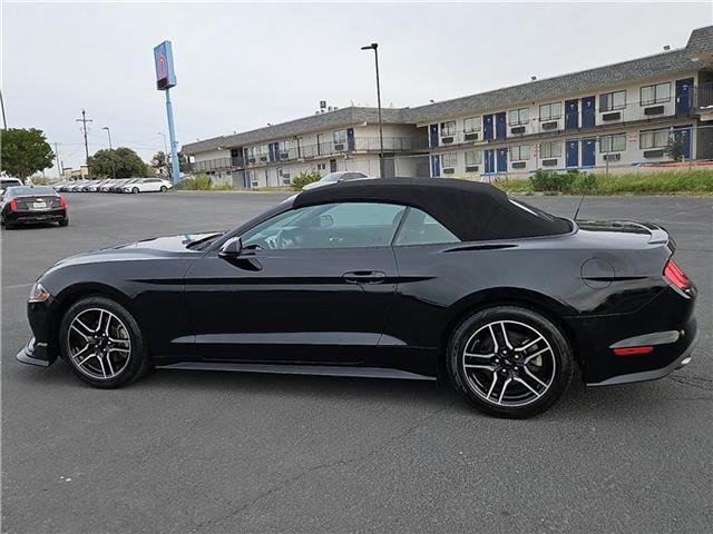 used 2023 Ford Mustang car, priced at $24,987