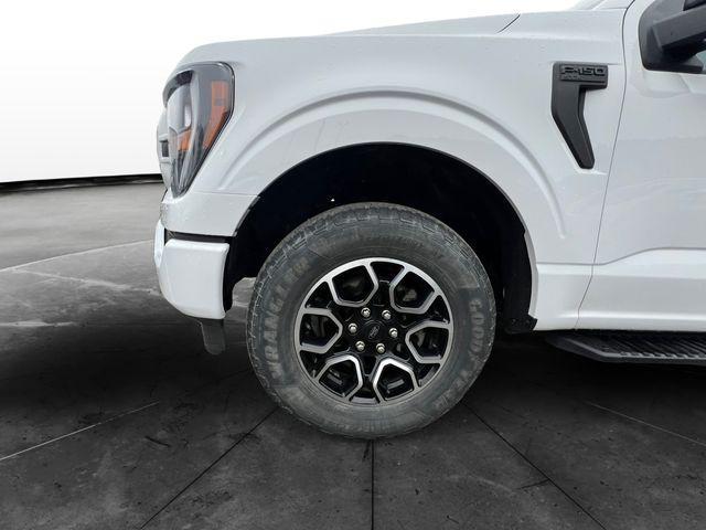 used 2023 Ford F-150 car, priced at $29,999