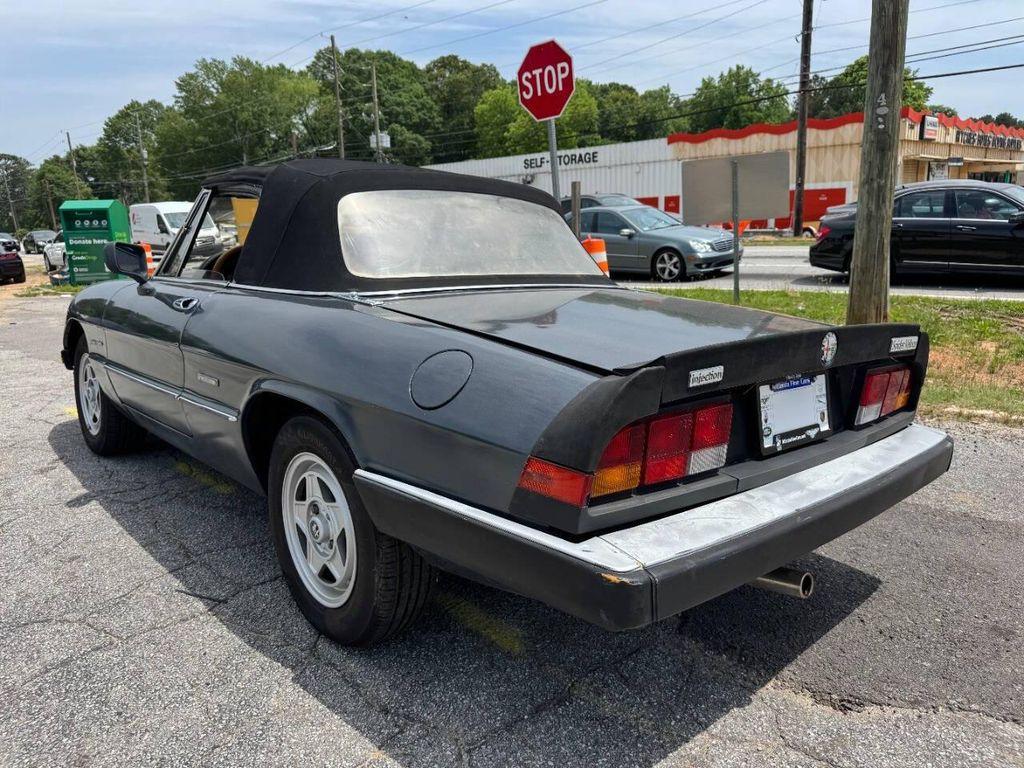 used 1986 Alfa Romeo Spider car