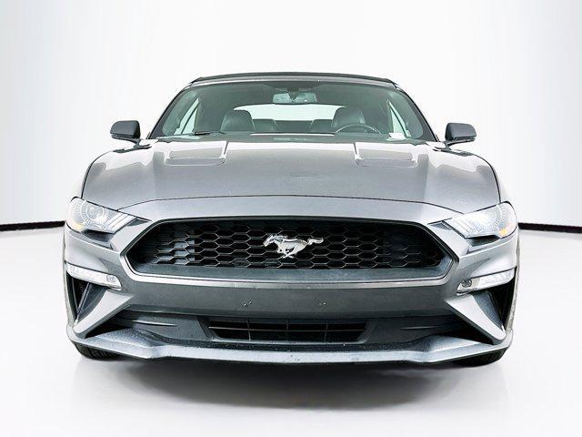 used 2019 Ford Mustang car, priced at $11,996