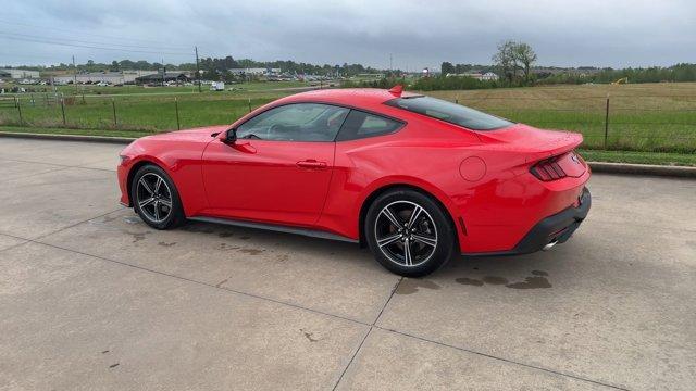 used 2024 Ford Mustang car, priced at $28,000