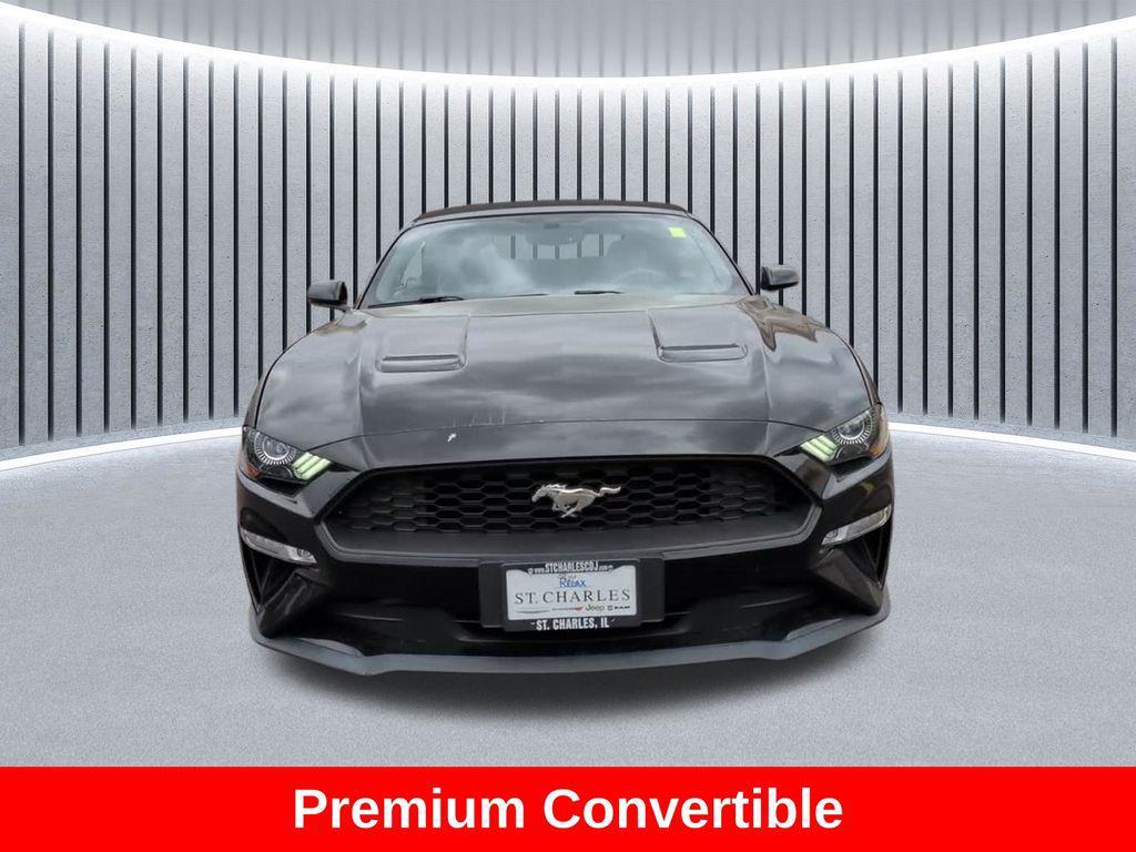 used 2019 Ford Mustang car, priced at $18,492