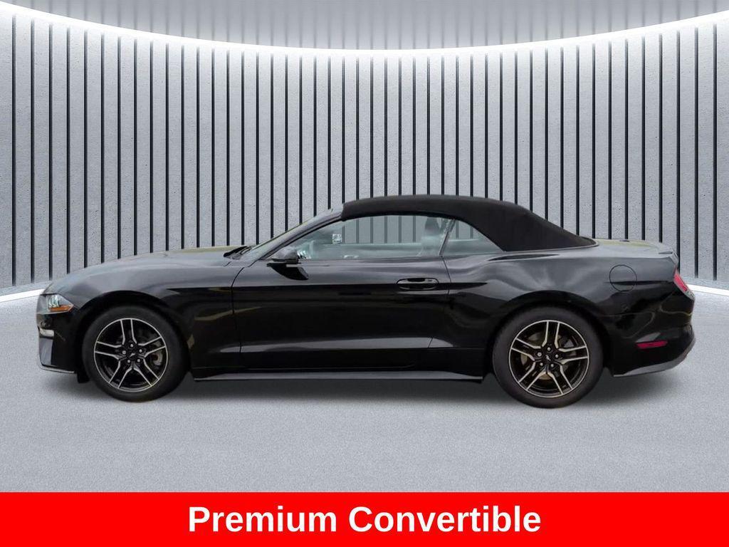 used 2019 Ford Mustang car, priced at $18,492