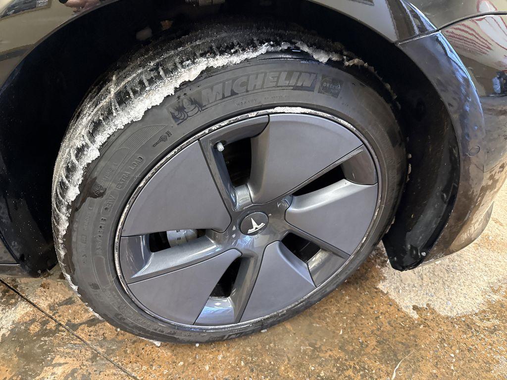 used 2019 Tesla Model 3 car, priced at $19,590