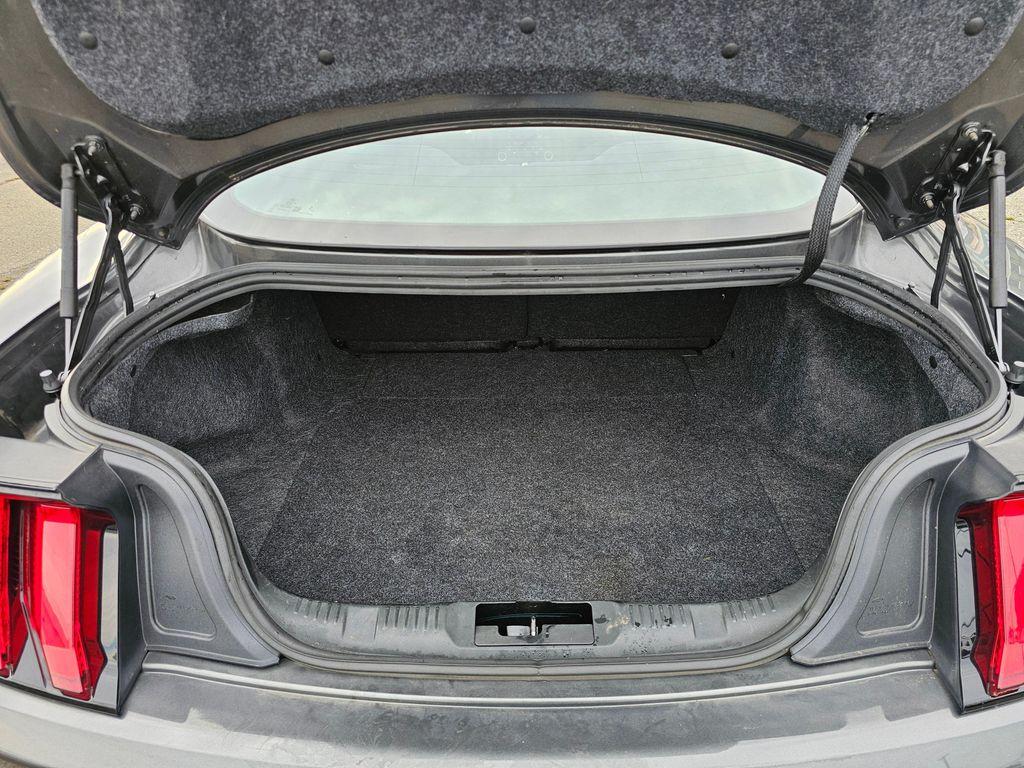 used 2019 Ford Mustang car, priced at $16,137