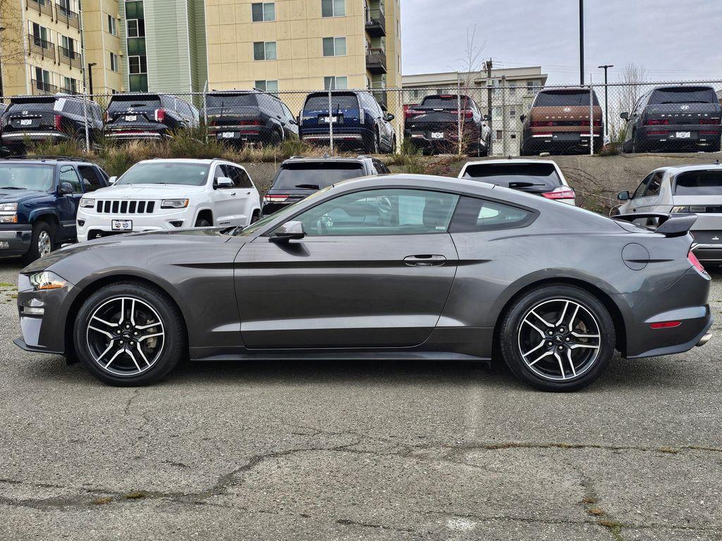 used 2019 Ford Mustang car, priced at $16,137