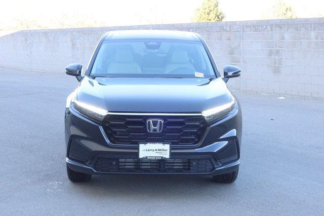 new 2026 Honda Passport car, priced at $57,384