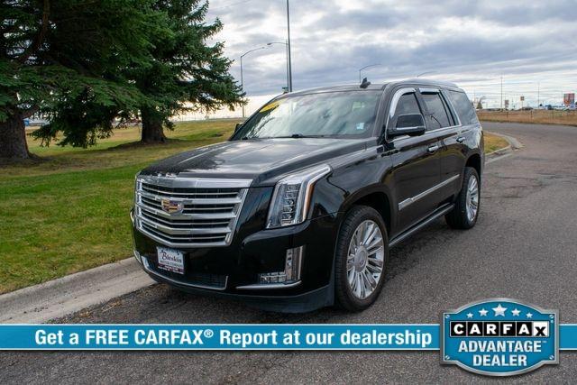 used 2016 Cadillac Escalade car, priced at $34,995