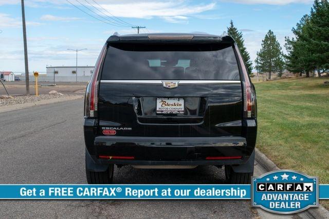 used 2016 Cadillac Escalade car, priced at $34,995