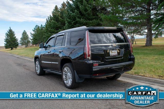 used 2016 Cadillac Escalade car, priced at $34,995