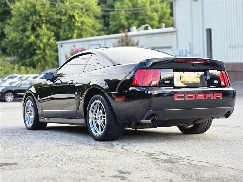 used 2003 Ford Mustang car