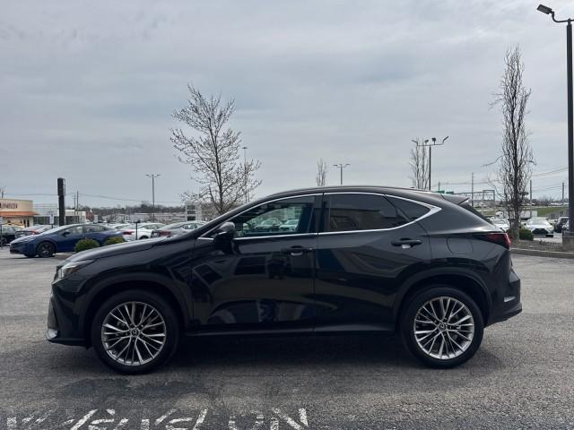 used 2023 Lexus NX 350 car, priced at $37,988